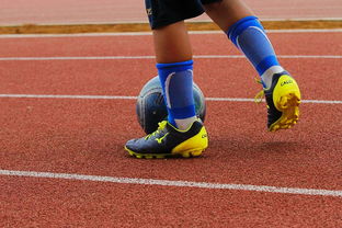 乐鱼官网安全-校园足球缺乏横向联赛结构支撑，我国校园足球训练存在的问题  第3张